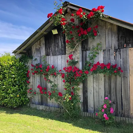 2 Pers Avec Terrasse Privative Et Proche Velo Rail - Fr-1-426-466 *