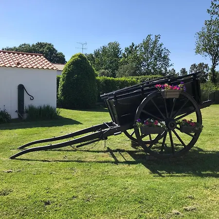 2 Pers Avec Terrasse Privative Et Proche Velo Rail - Fr-1-426-466 Vakantiehuis *